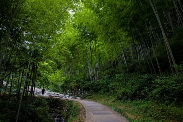 Mukeng-Bamboo-Forest-Hongcun
